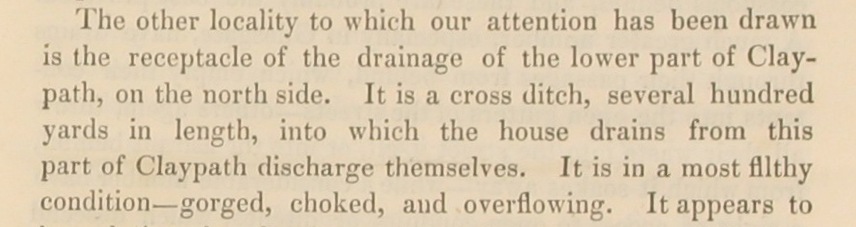 Image of extract from 1847 Sanitary Report.