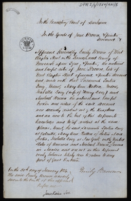 Image of the Affidavit of Emily Brown, administratrix of Jane Brown of West Clayton Street, Newcastle, spinster. Ref: DPRI/3/1854/A21/5